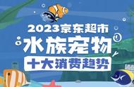 水族宠物市场新动向：大数据揭示十大消费趋势，男性消费者占比上升