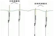 钓鱼高手的秘诀：水库钓大鱼无钩调漂法揭秘