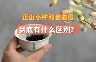 红茶鼻祖正山小种与红茶天花板金骏眉，究竟哪个更胜一筹？