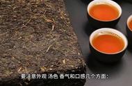 如何选购高品质的黑茶？购买前需要注意的关键因素