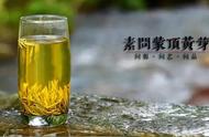 今天你喝“黄金”了吗？蒙顶黄芽的消脂降血糖效果