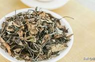 白露茶和寒露茶：秋茶中的两大种类比较