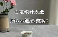 白茶爱好者必看：白毫银针太嫩不能煮，老叶的寿眉才适合煮茶！