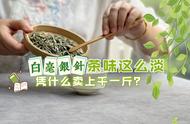 为何白毫银针的味道淡，却能卖出上千元的价格？