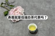 白茶中的精品：白毫银针与粗枝大叶的寿眉