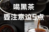 喝黑茶前必看：避免盲目，掌握这5点！