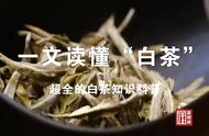 白茶知识大揭秘：一篇文章读懂白茶