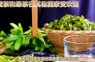 中国黄茶绿茶的国际影响力分析