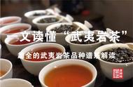 武夷岩茶全解析：品种、特色与品鉴技巧