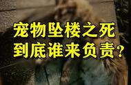 23万的缅甸猫坠楼丧生，保姆发问：人类能管理好动物吗？