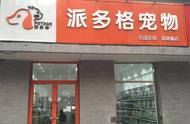 想要成功加盟宠物店？这些指导你不可错过！