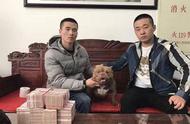 震惊！天安恶霸犬俱乐部“汉王”转会费高达60万！