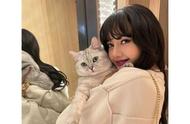 BLACKPINK成员LISA的宠物猫合影，粉丝直呼太可爱！