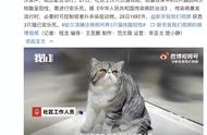 揭秘宠物猫核酸阳性背后的真相