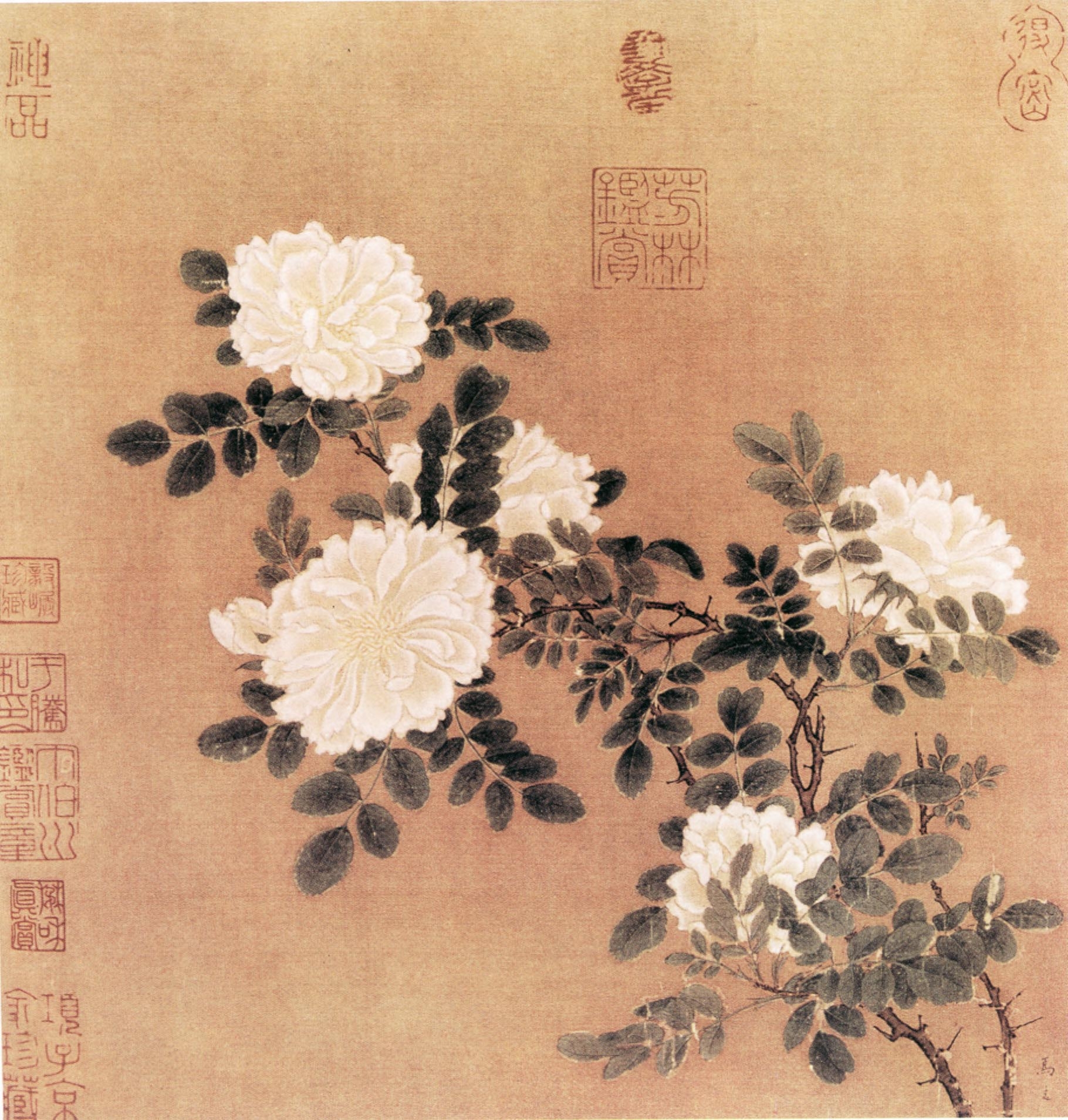 中国画传世花鸟画大全——第一辑高清100幅