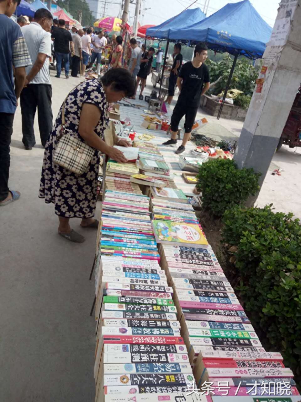 县城的淘宝街热闹非凡，男女老少都喜欢逛，据说当地人称之为狗市